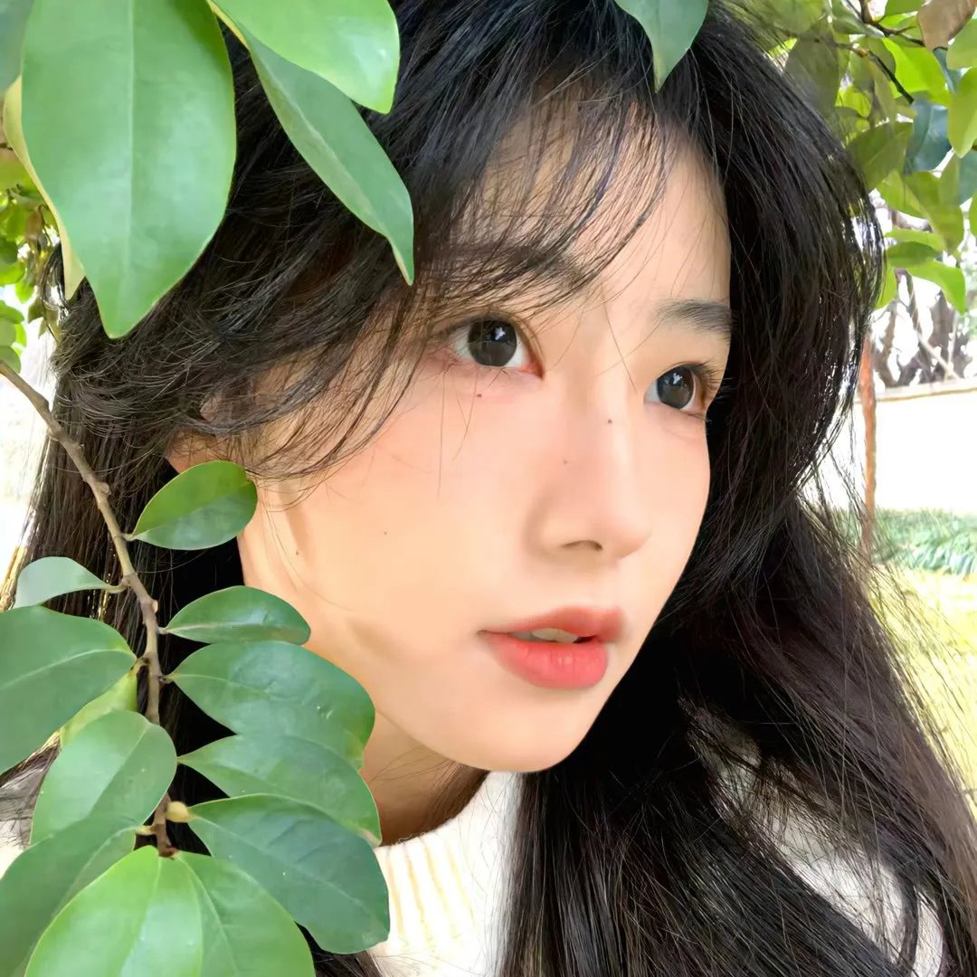 可爱的小崽子们
